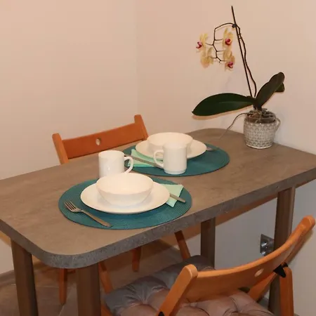 公寓 Przytulny Apartament